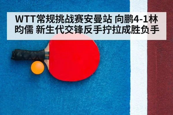 table tennis racket close up